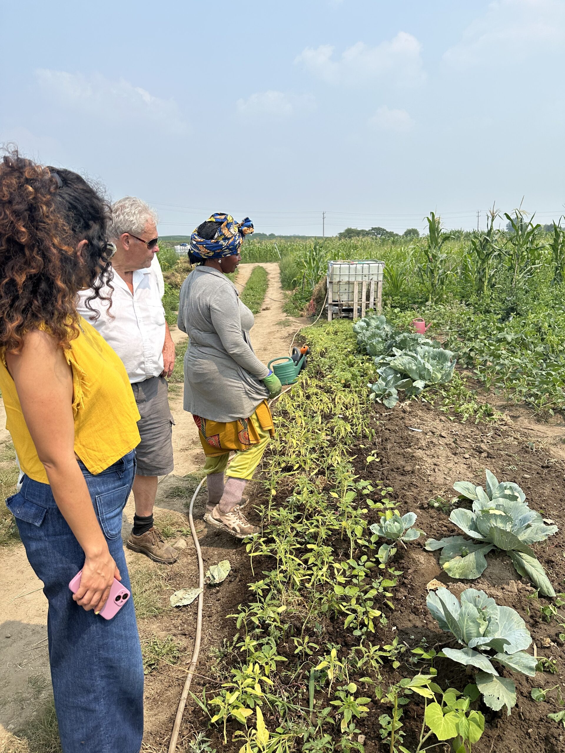 Visiting Waterloo Region Community Garden Network